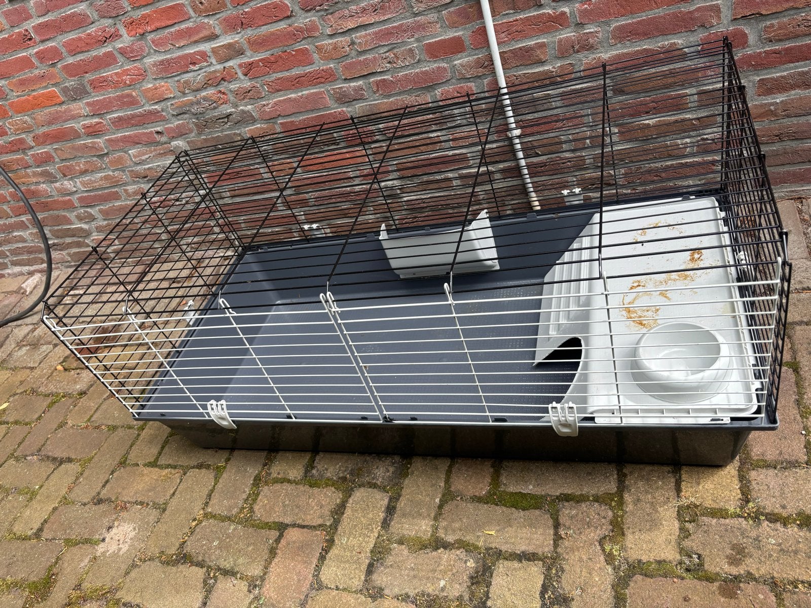Konijnenhok, Kooi, Muis, Ophalen, Minder dan 60 cm