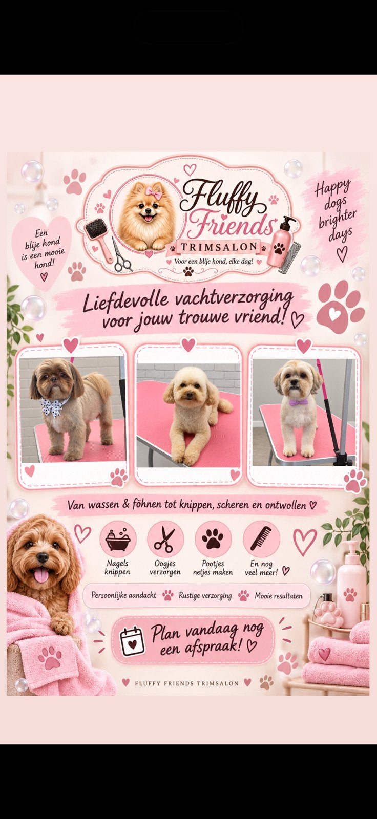 Fluffy Friends Trimsalon, Ophalen, Nieuw