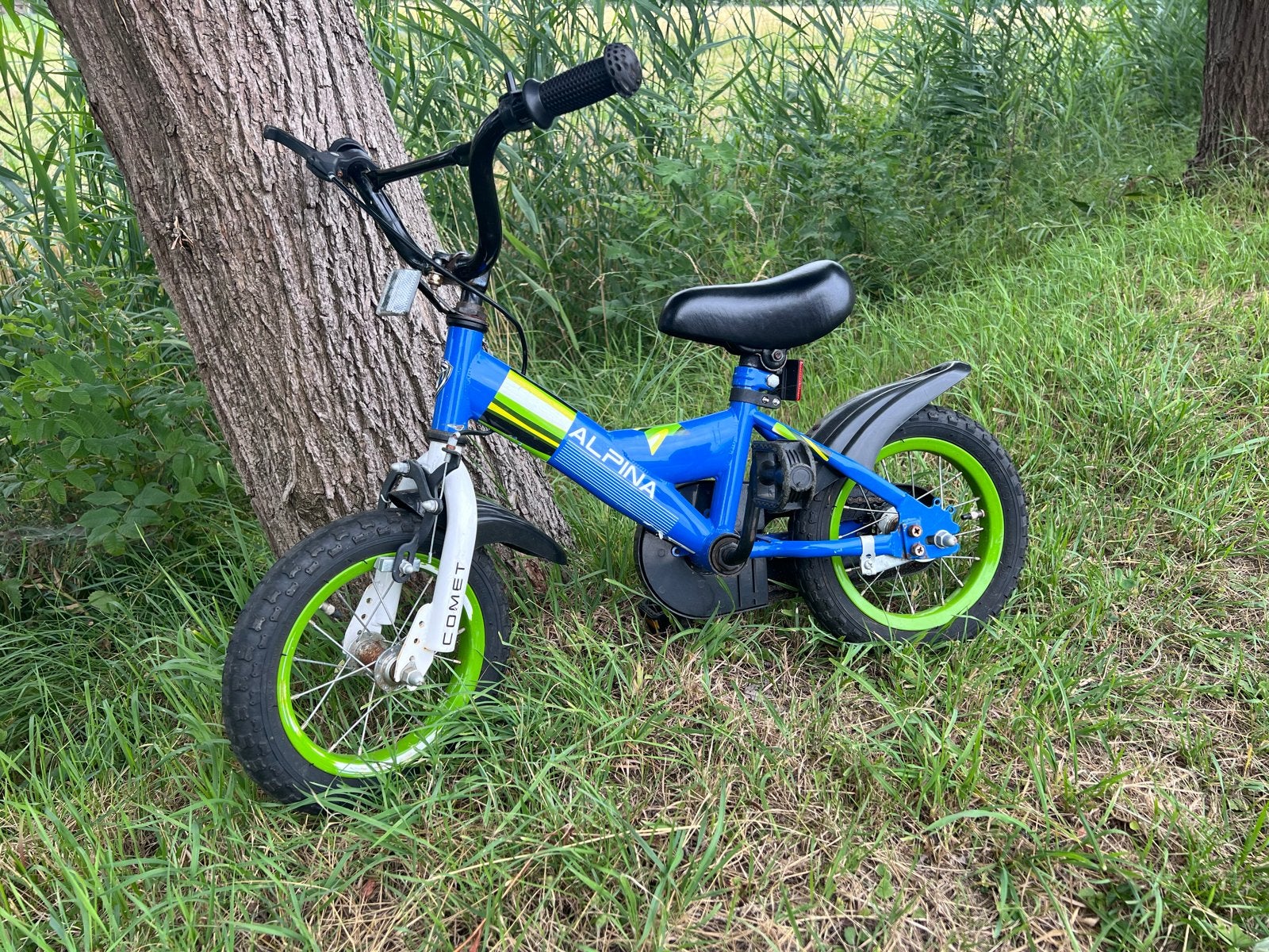 Alpina Comet 12 inch kinderfiets - Blauw/Groen, Fietsen en Brommers, Ophalen, Gebruikt, Terugtraprem, Minder dan 16 inch