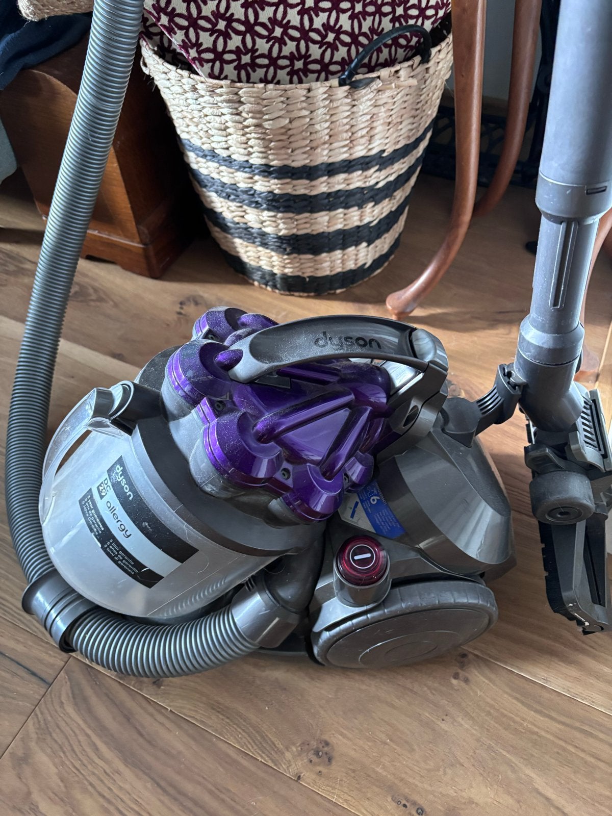 Dyson DC29 Allergy Sledestofzuiger - Krachtig en Compleet, Witgoed en Apparatuur, Stofzuigers, Ophalen, Inclusief accessoires