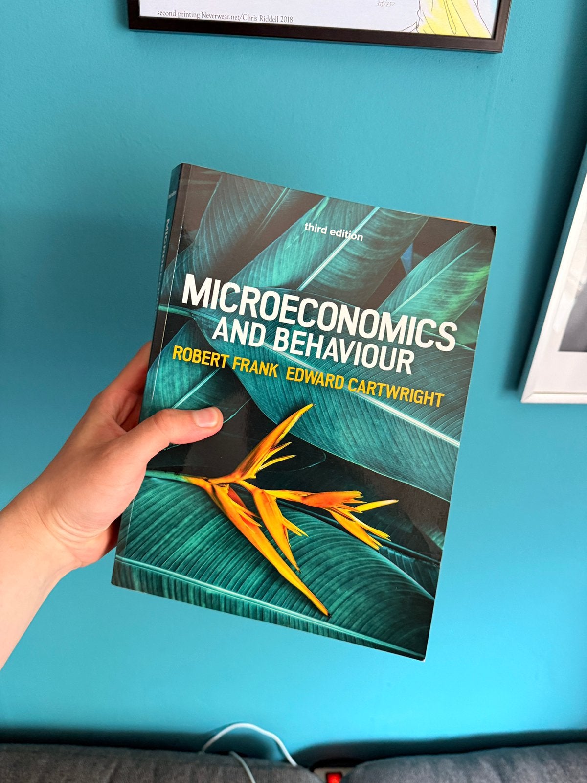 Microeconomics and behaviour - Robert Frank, Ophalen of Verzenden, Zo goed als nieuw, Management