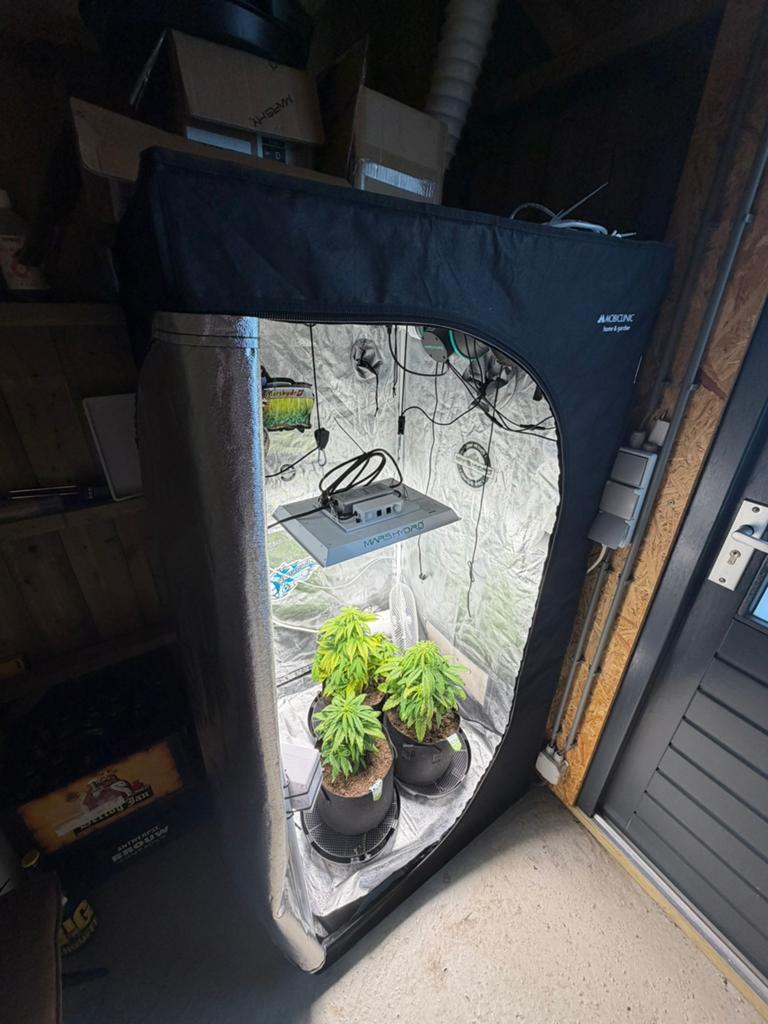 Kweektent 100x100 Compleet met LED, Filter en Toebehoren, Ophalen, Gebruikt, Kweektent