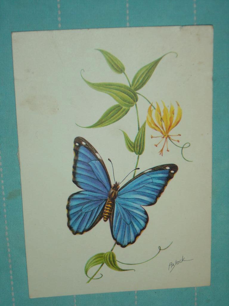 19) Kleuren ansichtkaart  blauwe vlinder, Ophalen of Verzenden, 1980 tot heden, Gelopen, Overige soorten