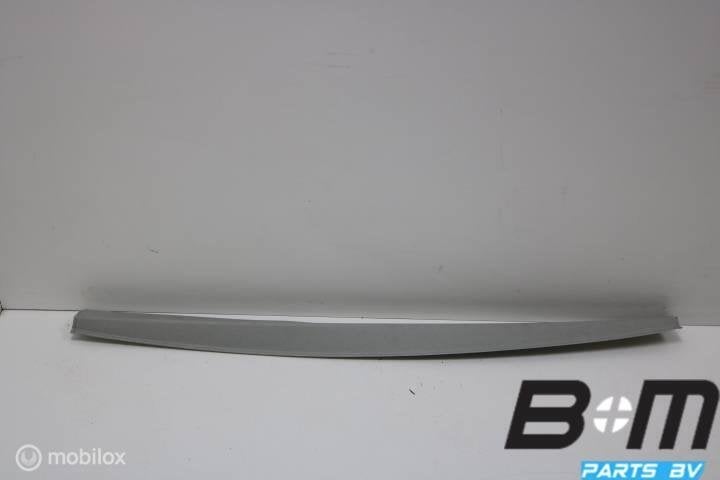 Hemel afsluitstrip VW Transporter T5 7H0867625G, Gebruikt