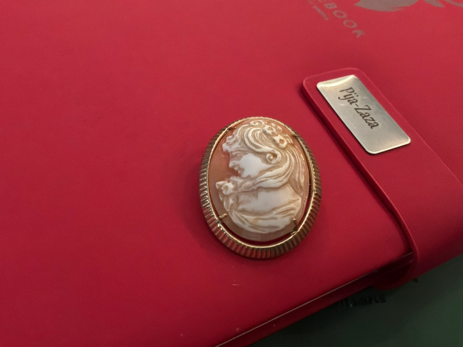 Prachtige oude Camee broche / Kettinghanger zilver verguld, Verzenden, Zo goed als nieuw