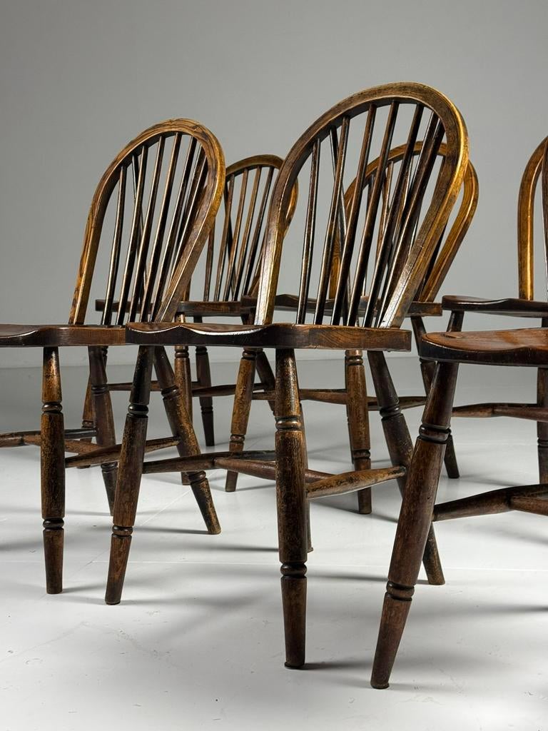 Set van 6 Windsor stoelen antiek, Ophalen, Zo goed als nieuw, Bruin, Vijf, Zes of meer stoelen