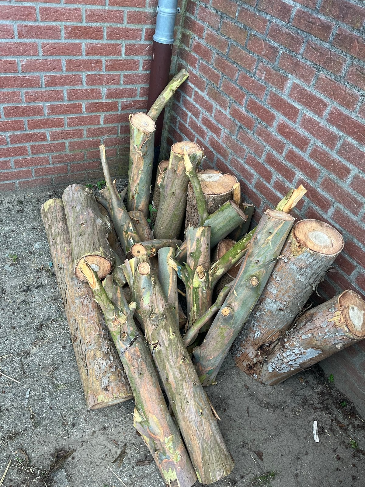 Diverse houtstammen voor brandhout, Tuin en Terras, Haardhout, Minder dan 3 m³, Ophalen, Overige houtsoorten, Stammen