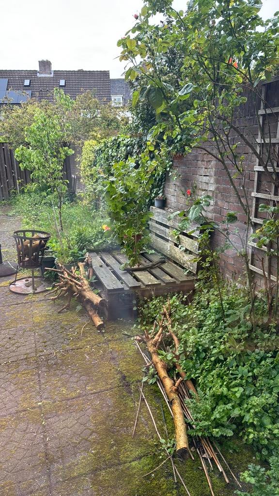 Gratis ophalen, Tuin en Terras, Ophalen, Overige houtsoorten, Stammen