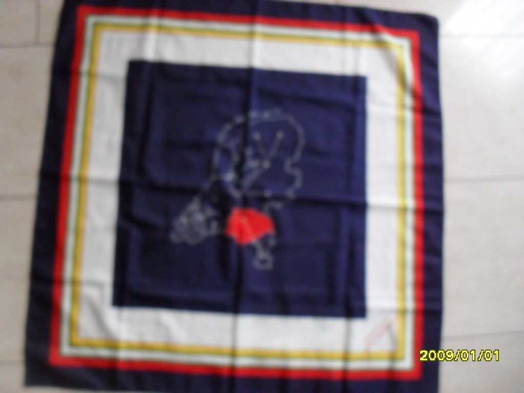 Vintage sjaal Postdistrict 's-Hertogenbosch, Kleding | Dames, Mutsen, Sjaals en Handschoenen, Ophalen, Maat 46/48 (XL) of groter