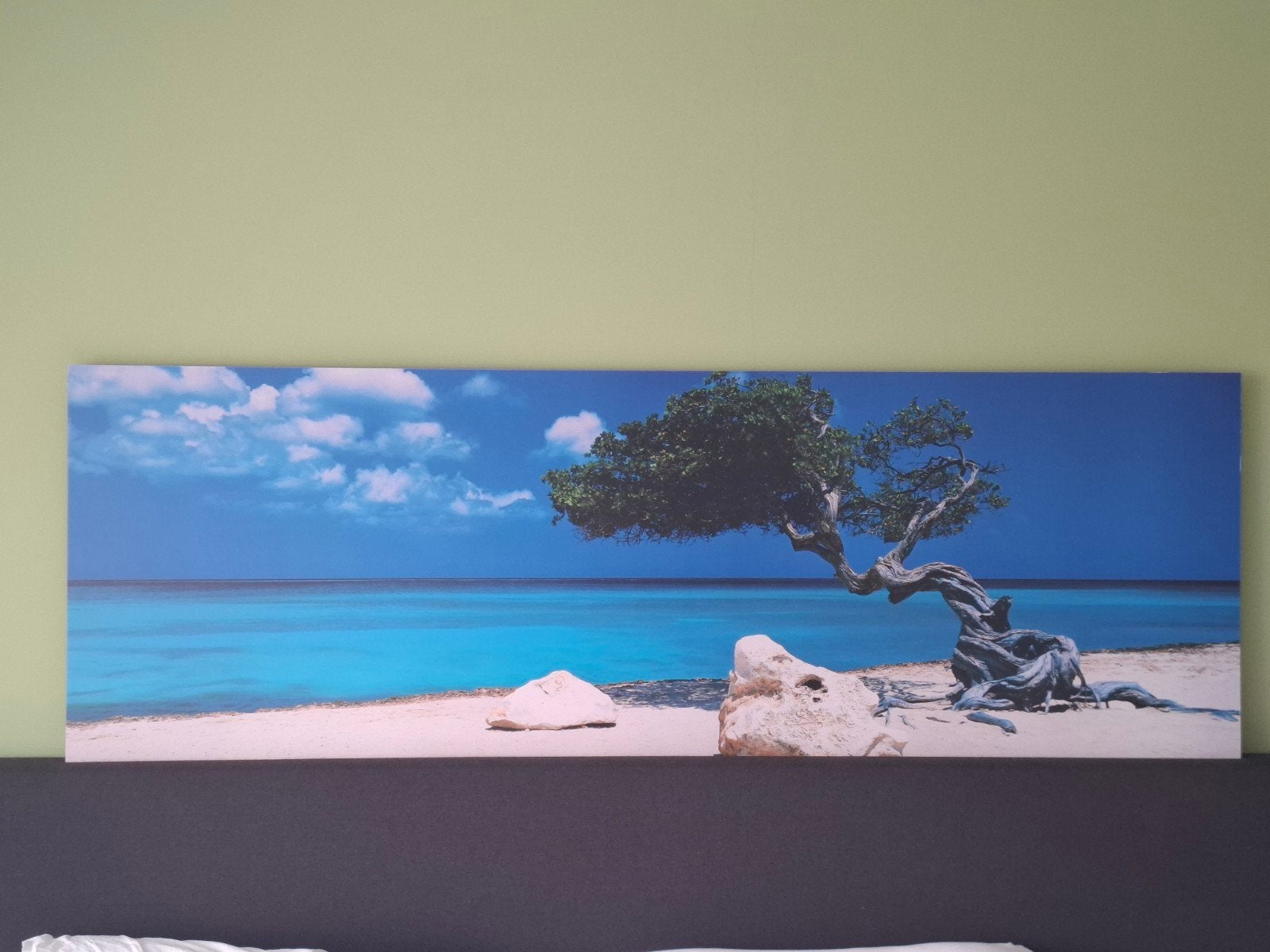 Idyllisch Strand Schilderij met Karakteristieke Boom, Ophalen, 50 – 75, 125 cm of meer, Zo goed als nieuw