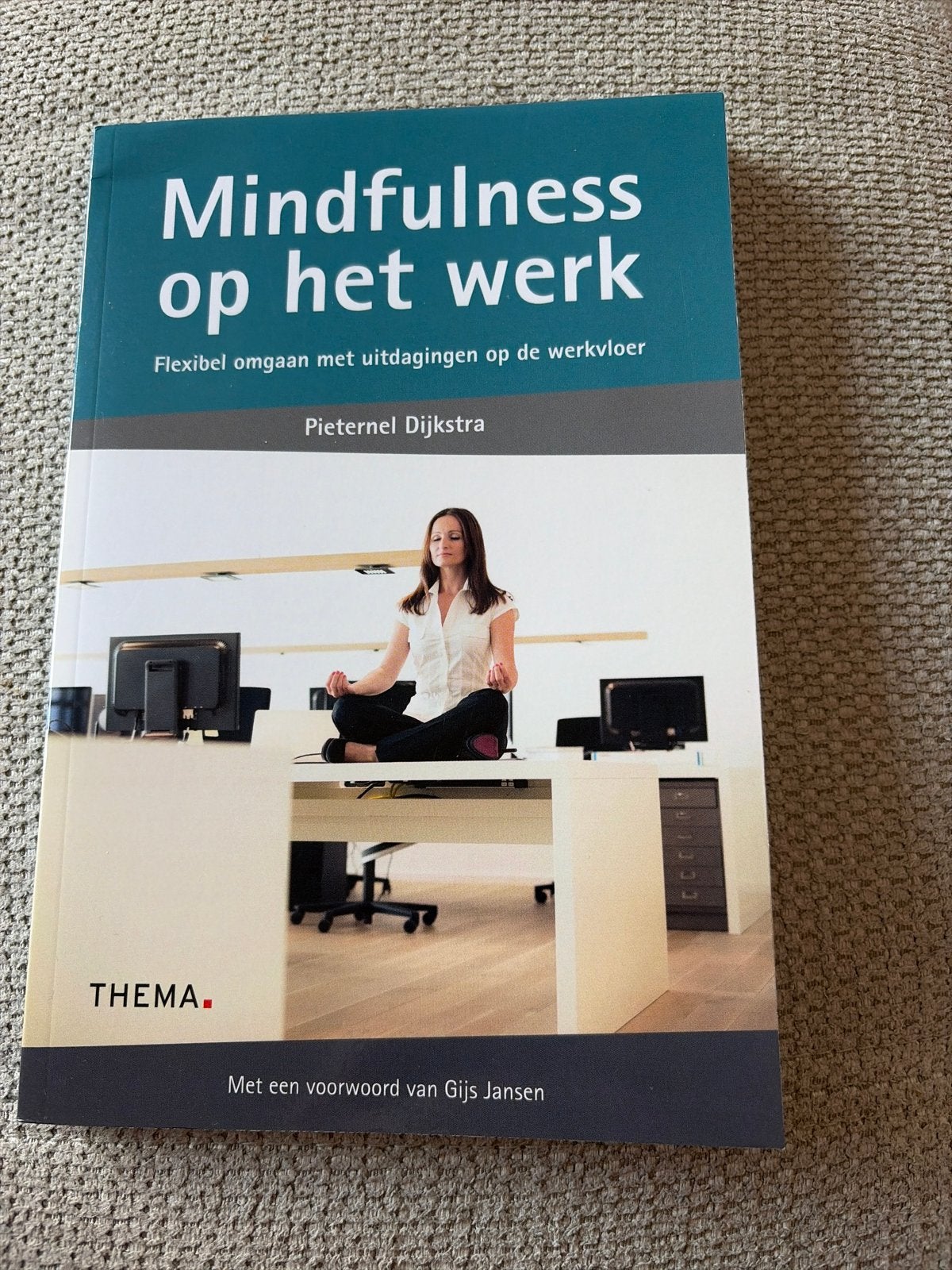 Mindfulness op het werk - Pieterneel Dijkstra, Ophalen of Verzenden, Gamma, Zo goed als nieuw, Overige niveaus
