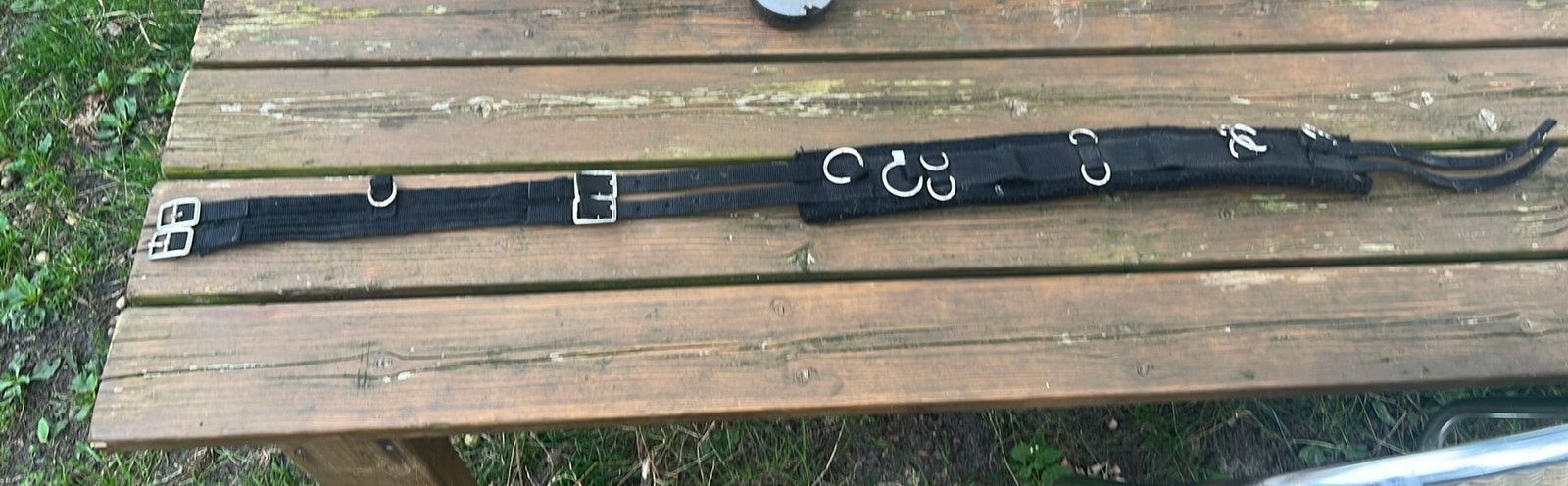 Longeersingel maat Shetlander, Dieren en Toebehoren, Ophalen of Verzenden, Gebruikt
