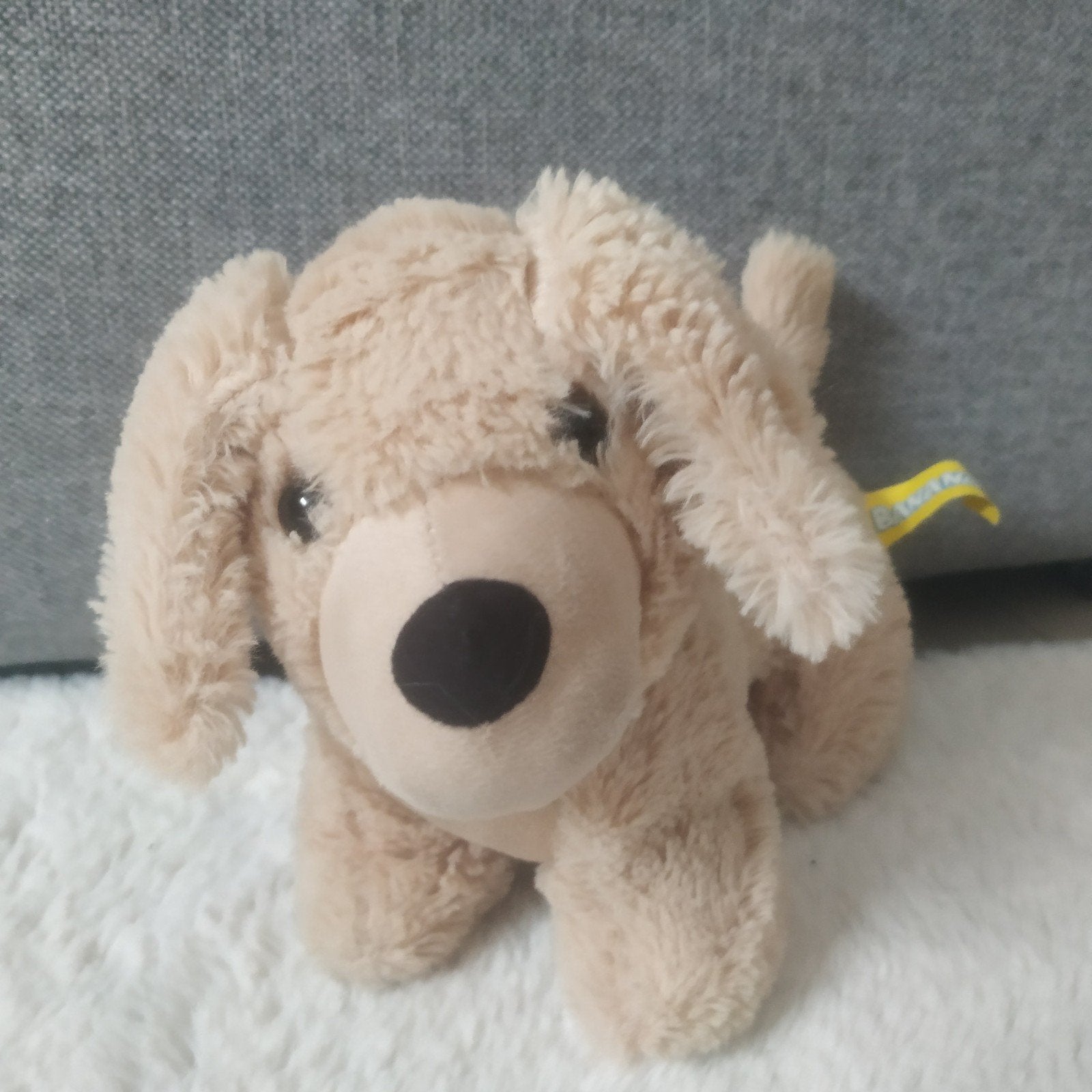 Knuffel Hondje, Ophalen of Verzenden, Zo goed als nieuw, Hond