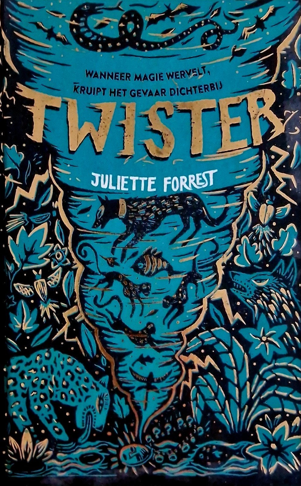 Twister - Juliette Forrest, Boeken, Ophalen of Verzenden