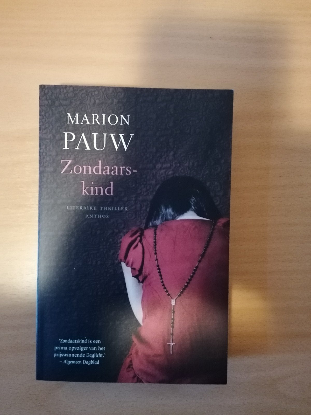Marion Pauw - Zondaarskind (Literaire thriller), Boeken, Ophalen of Verzenden, Gelezen, Marion Pauw, Nederland