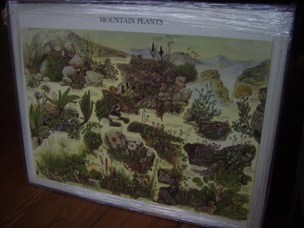 Posters divers, Verzamelen, Posters, Nieuw, Dier of Natuur, Deurposter of groter, Rechthoekig Liggend, Met lijst, Ophalen of Verzenden