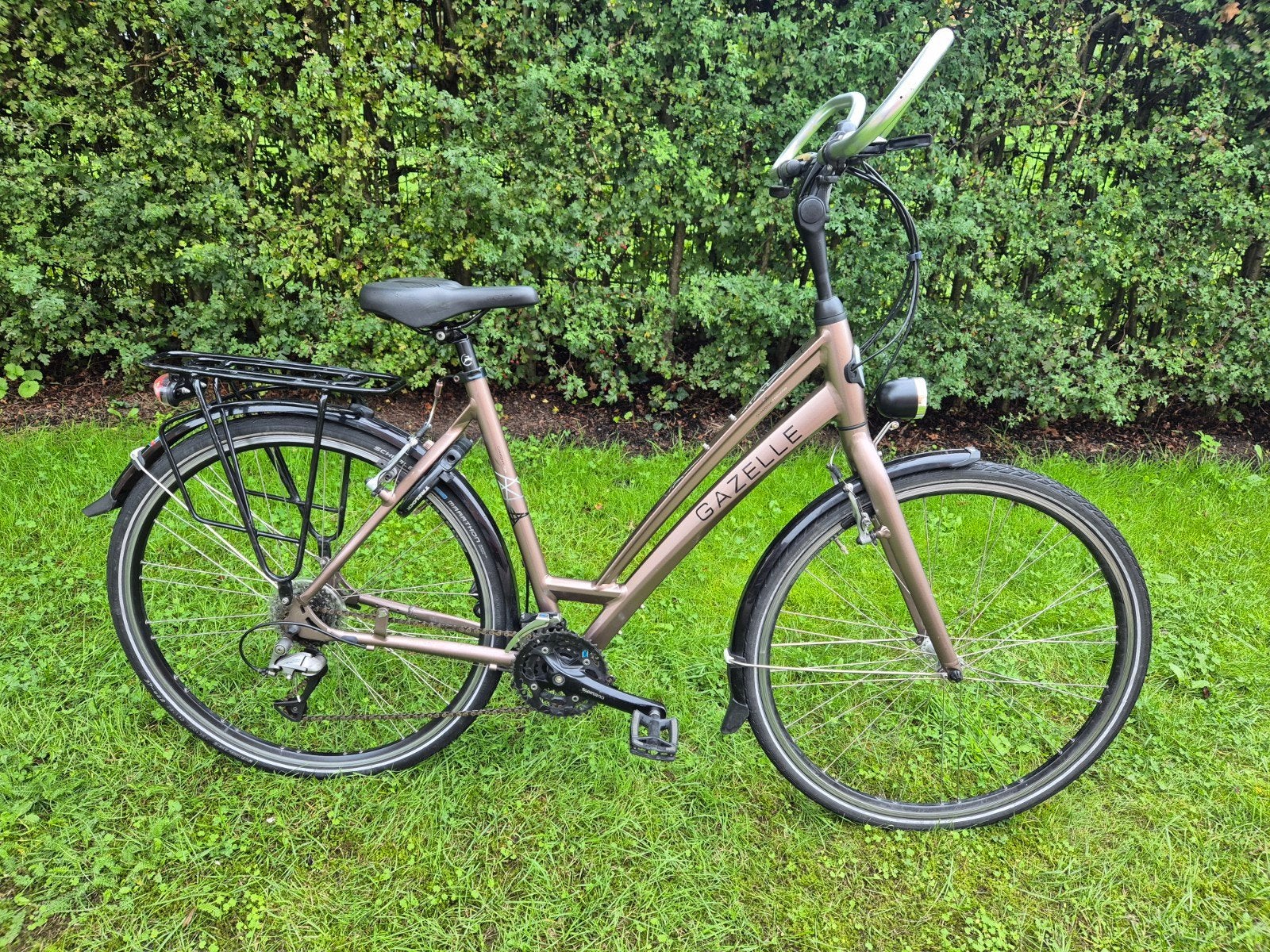 Gazelle Chamonix DamesFiets   Alles werkt Prima    53 cm, Ophalen, Versnellingen, Gazelle, 53 tot 56 cm