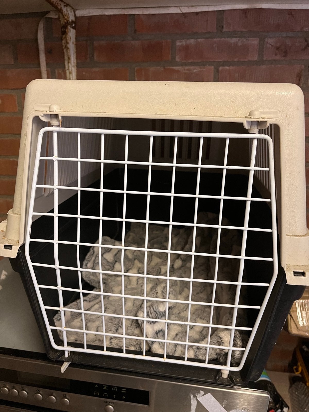 Grote transportbox hondenbench kattenbench,stevig kunststof, Dieren en Toebehoren, Ophalen