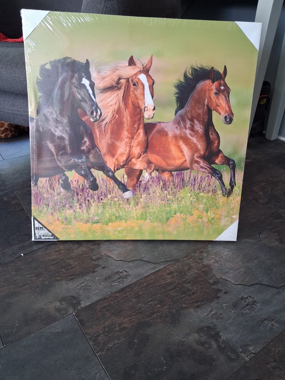 Twee prachtige paardenschilderijen - Dierenkunst, Antiek en Kunst, Kunst | Schilderijen | Klassiek, Ophalen, Doek, Realistisch