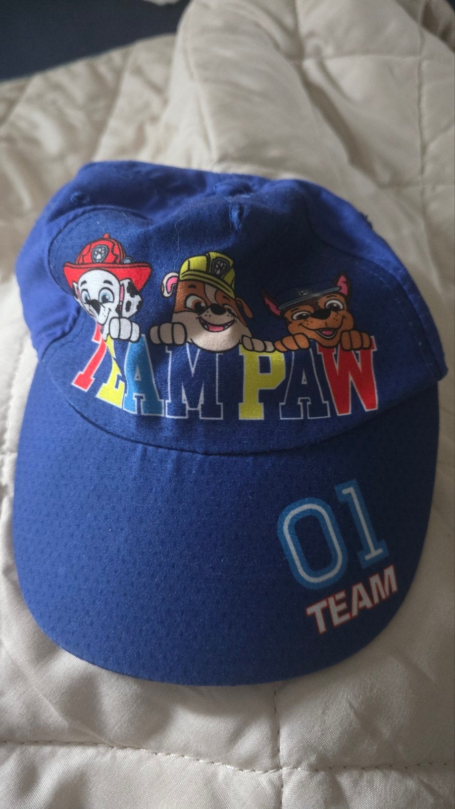 paw patrol pet, Ophalen of Verzenden, 104 of kleiner, Jongen of Meisje