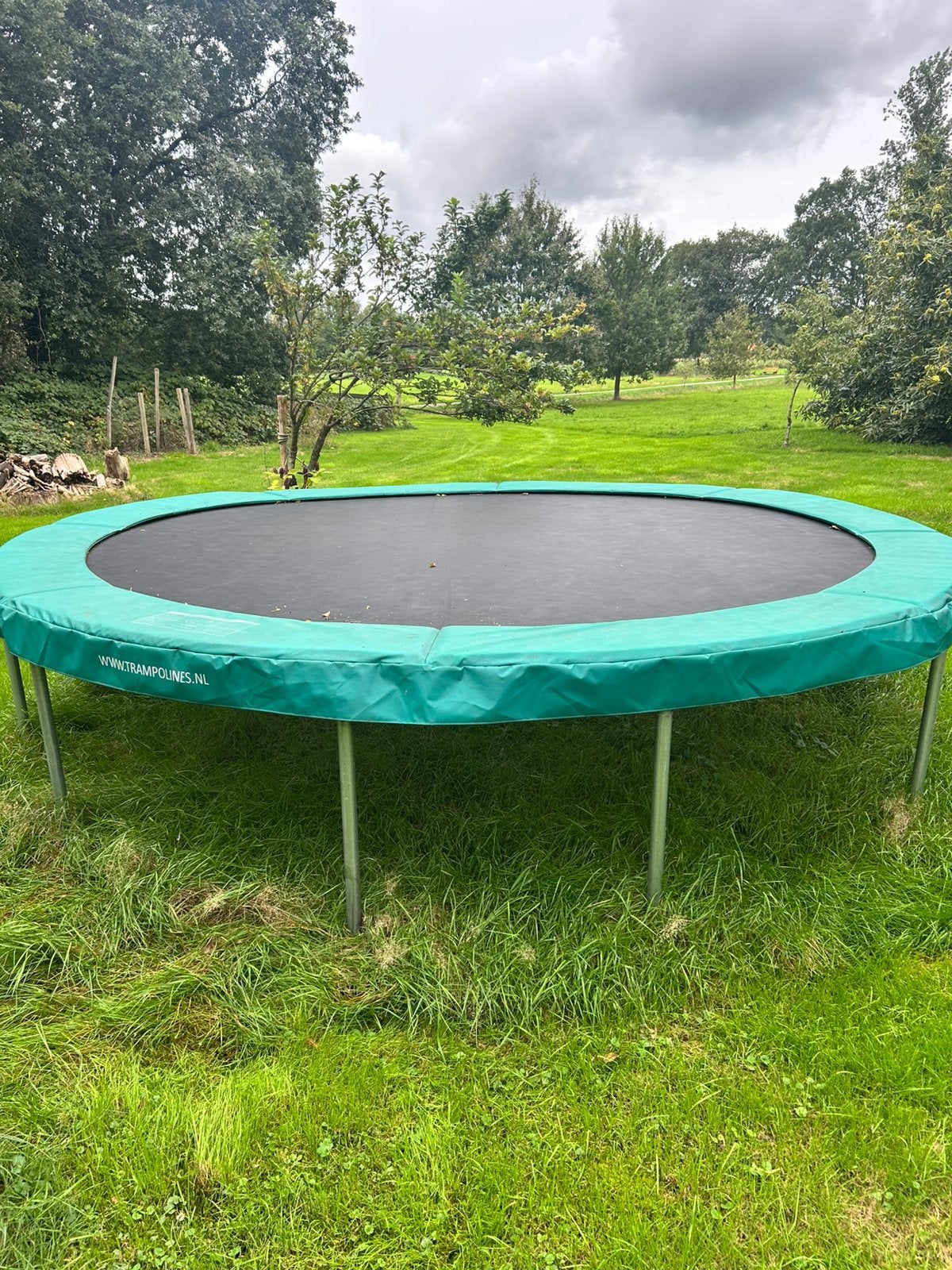 Grote trampoline, 4.10m, goede rand, Kinderen en Baby's, Ophalen, Zo goed als nieuw