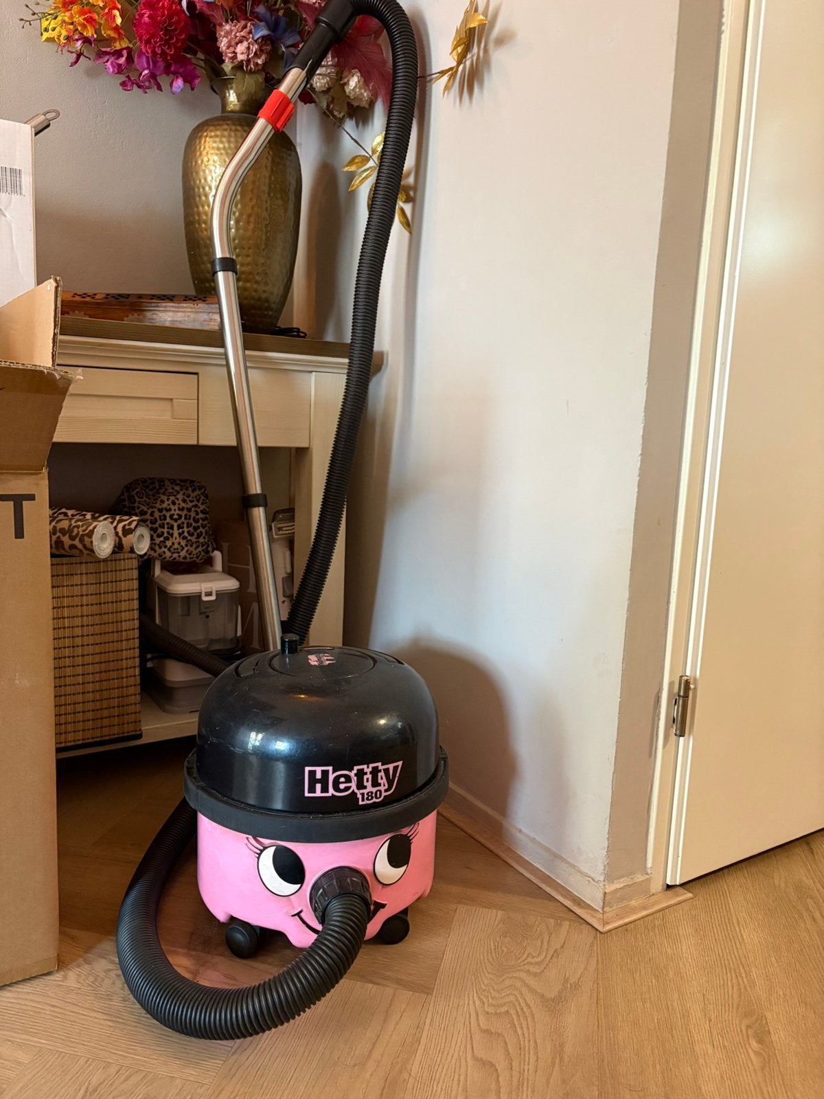 Stofzuiger Hetty, Witgoed en Apparatuur, Ophalen, Gebruikt, Stofzak, Steelstofzuiger
