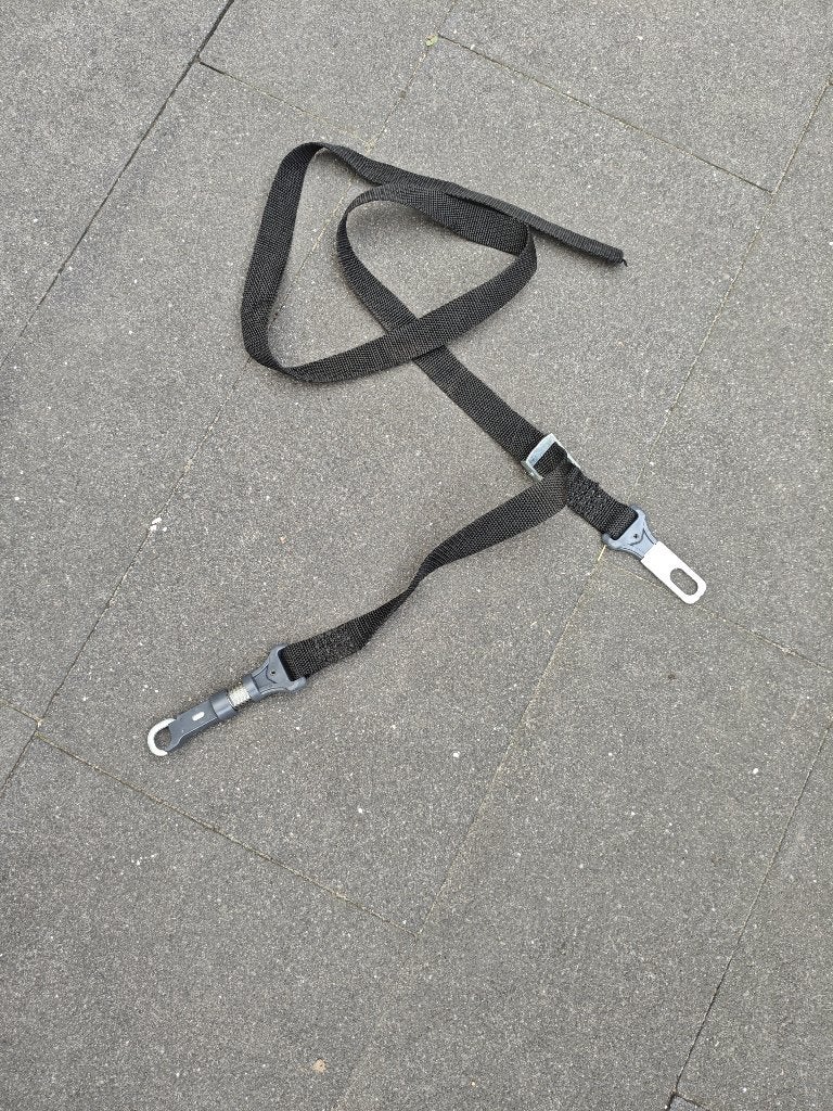 Hondengordel auto, Overige merken, Ophalen of Verzenden, Nieuw, Hondenriem