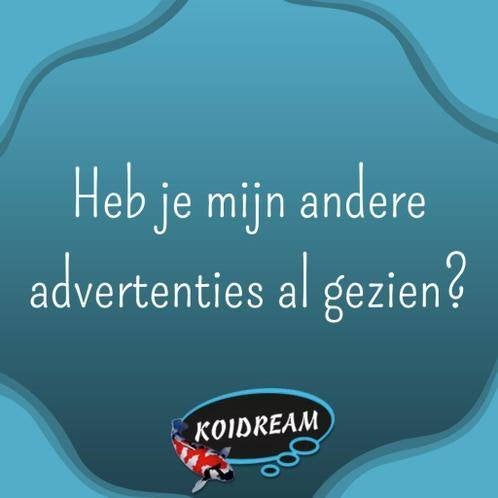 Forelbaars (Black Bass) – Gezonde jonge vissen, Overige soorten