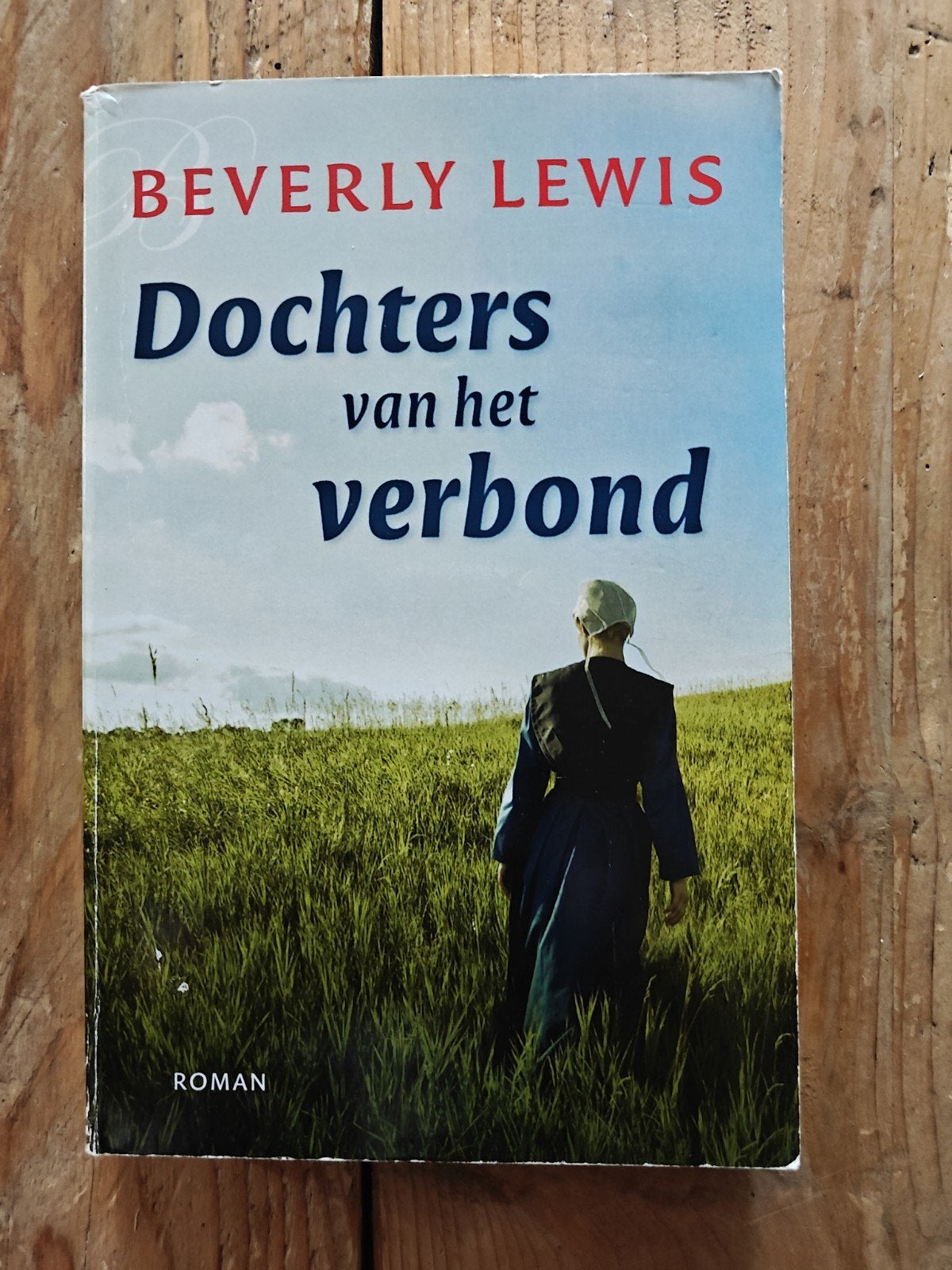 Dochters van het verbond., Boeken, Ophalen of Verzenden, Zo goed als nieuw