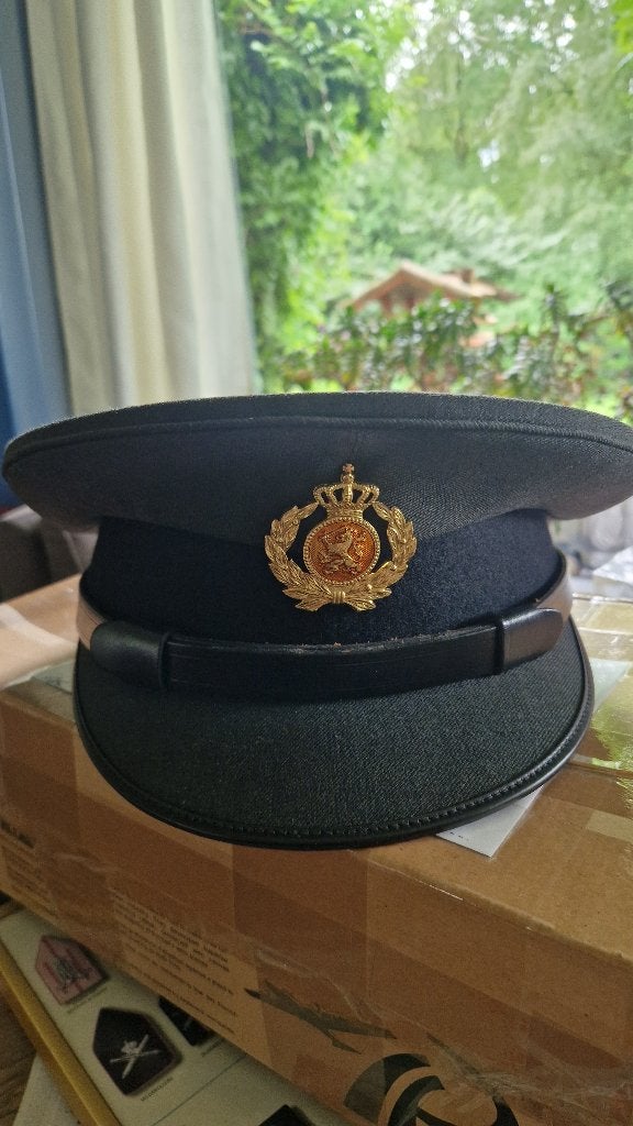 platte pet, Ophalen of Verzenden, Landmacht, Nederland, Helm of Baret