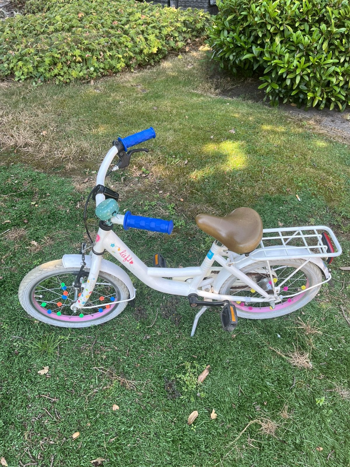 Fietsje, Ophalen of Verzenden
