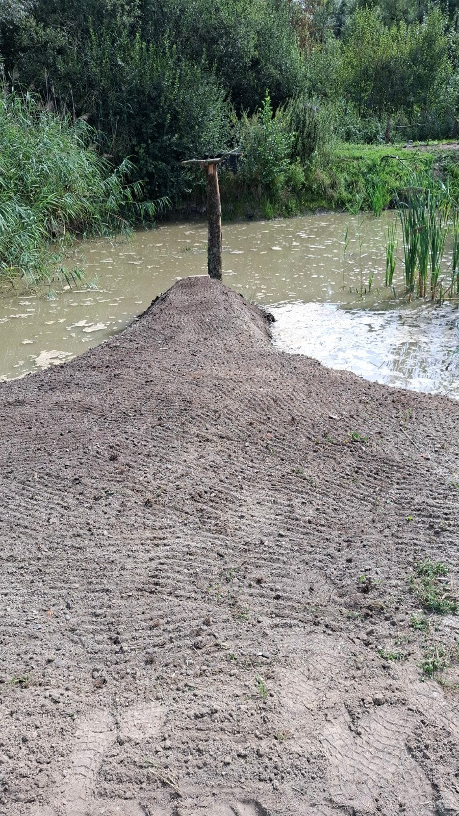 vogelkijkhut Waterrijk nu Roofvogels fotograveren, Meerdere dieren