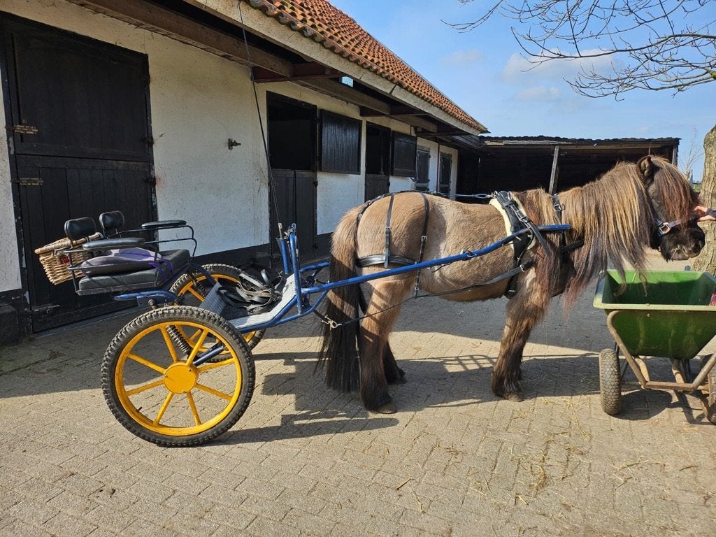 HCA Sulky 23 inch, Gebruikt, Sulky, Pony
