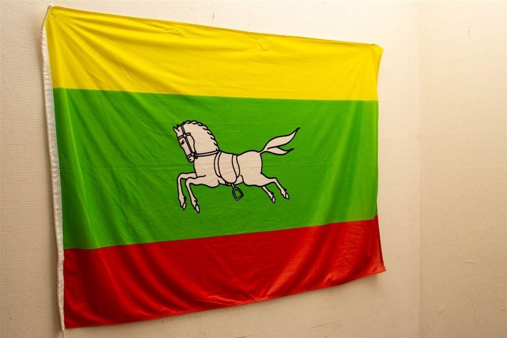 Vlag van Zuidlaren 39581, Ophalen of Verzenden, Gebruikt