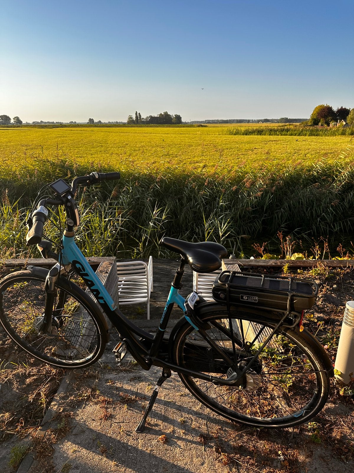Giant Ease-E elektrische fiets, Ophalen, Giant, Zo goed als nieuw, 51 tot 55 cm