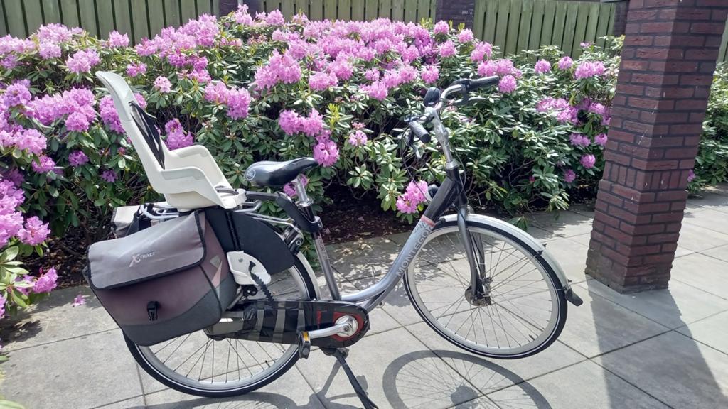 Gebruikte dames fiets, Fietsen en Brommers, Fietsen | Dames | Damesfietsen, Ophalen of Verzenden, Gebruikt, Overige merken
