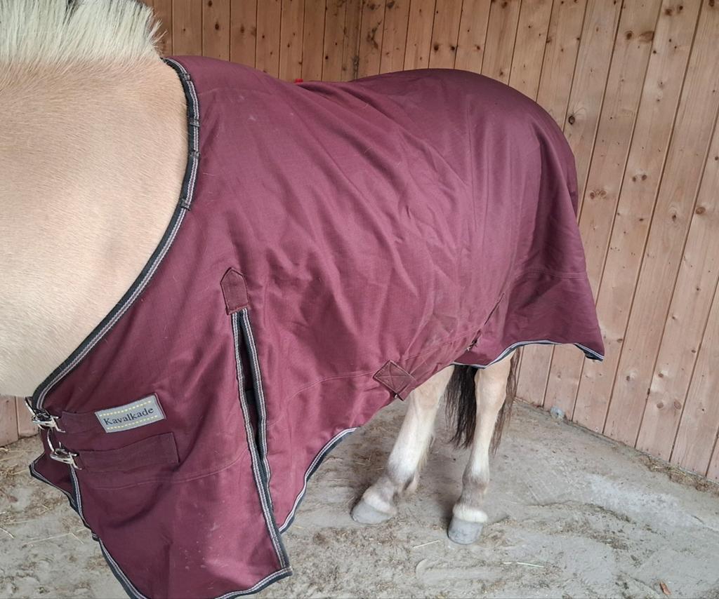 Paardendeken Kavalkade 185/135 (100 gr), Ophalen, 100 g, Rood, Zo goed als nieuw