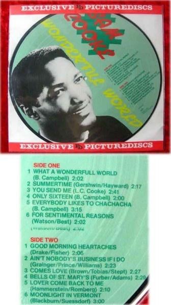 Sam Cooke – Wonderful World Picture LP Nieuw, Ophalen of Verzenden, Nieuw in verpakking, 12 inch