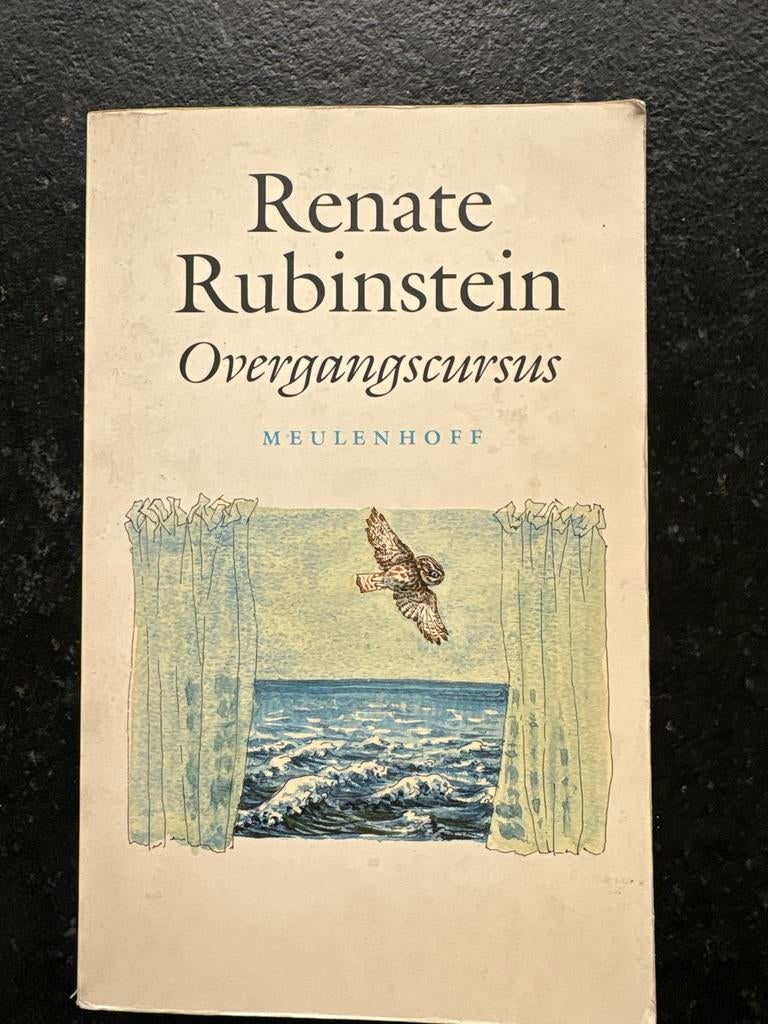 Renate Rubinstein - Overgangscursus (Meulenhoff), Boeken, Ophalen of Verzenden, Zo goed als nieuw, Nederland