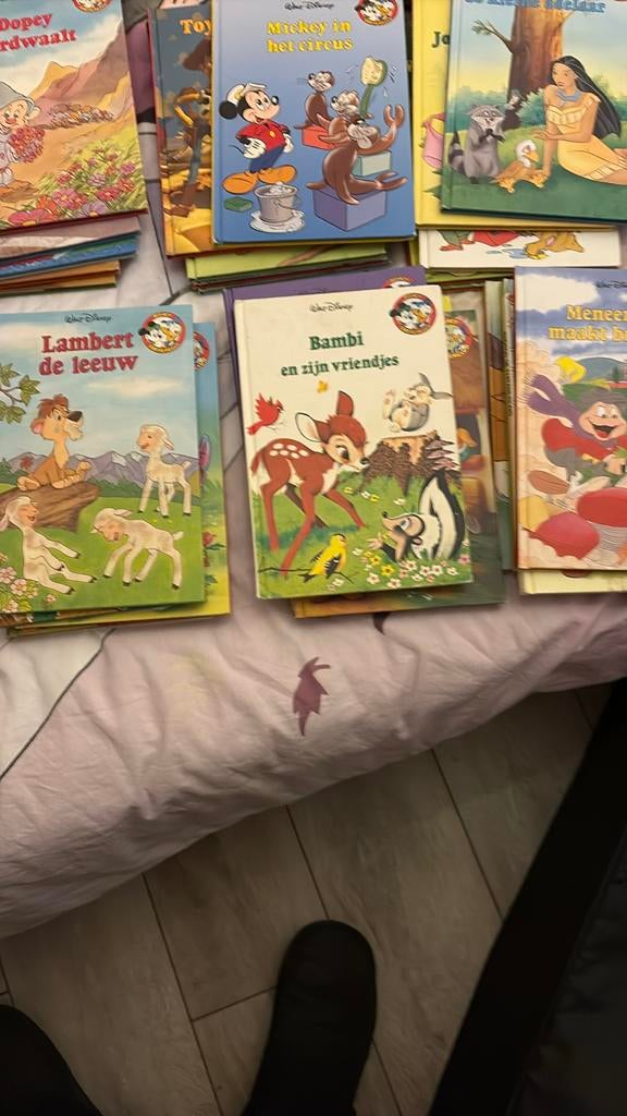 86 stuks Disney Boeken Collectie: Sprookjes en Verhalen, Boeken, Ophalen, Zo goed als nieuw