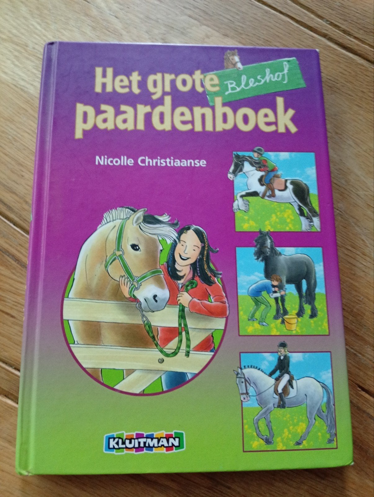Het grote Bleshof paardenboek - Nicolle Christiaanse, Boeken, Ophalen of Verzenden