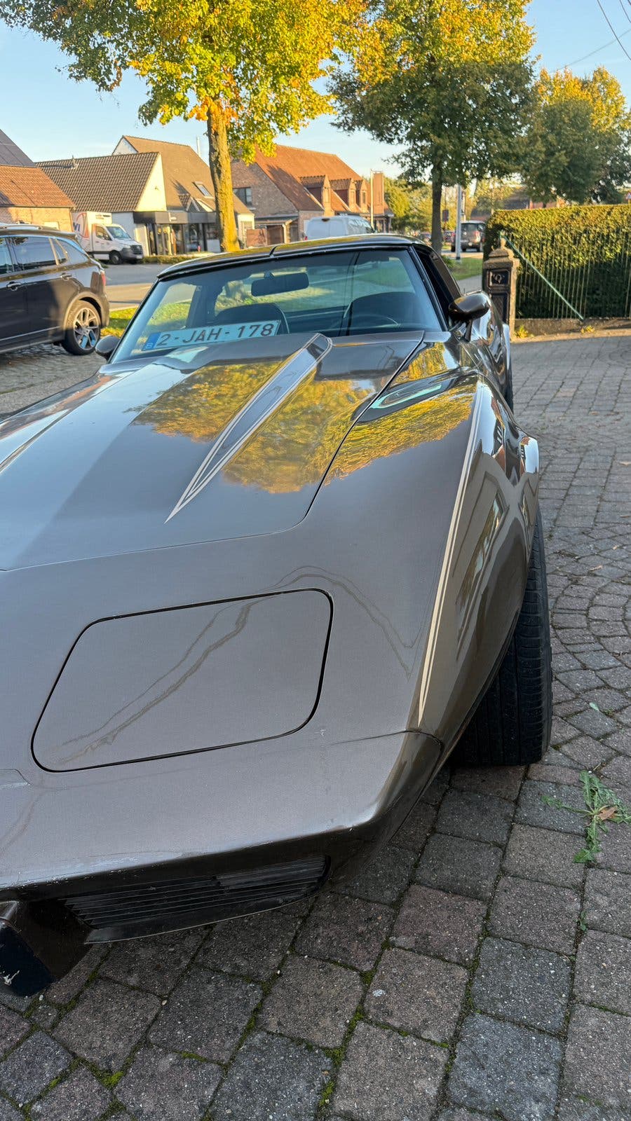 Corvette c3 te koop, foto 4