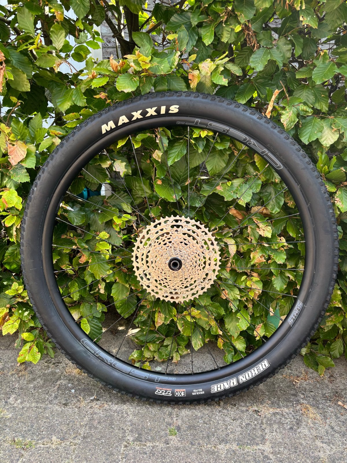 Stan’s NoTubes Crest MK4 29" set + Maxxis + 12v Cassette, Zo goed als nieuw, Aluminium, Mountainbike, Ophalen