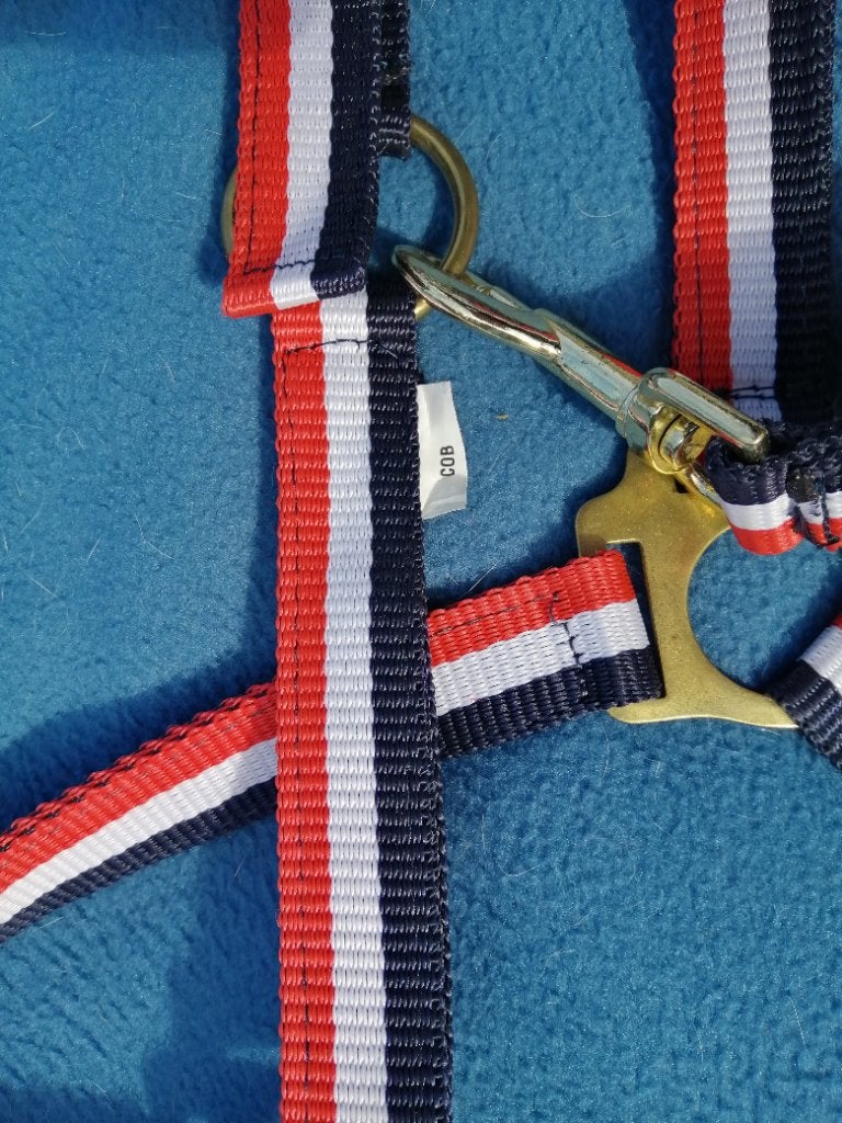 Cob halster rood wit blauw, Nieuw, Ophalen of Verzenden, Blauw, Halster