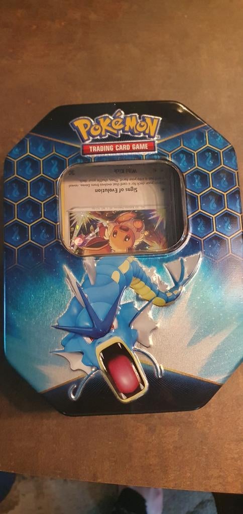 Pokémon kaarten collectie (100-150 stuks) in Gyarados Tin, Hobby en Vrije tijd, Verzamelkaartspellen | Pokémon, Ophalen of Verzenden