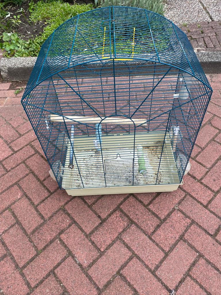 Vogel kooi parkieten, Ophalen of Verzenden, Metaal, Vogelkooi