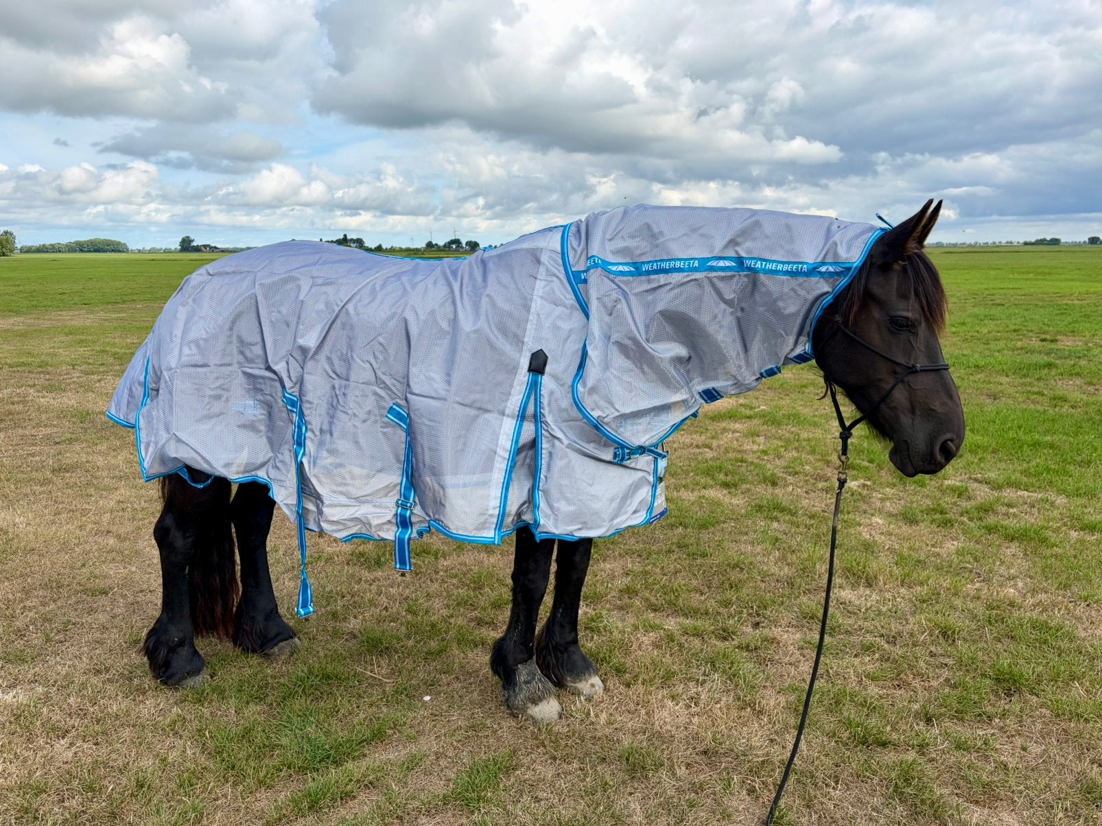 Weatherbeeta vliegendeken met hals  145/195cm, Dieren en Toebehoren, Paarden en Pony's | Dekens en Dekjes, Full (L), Overige merken