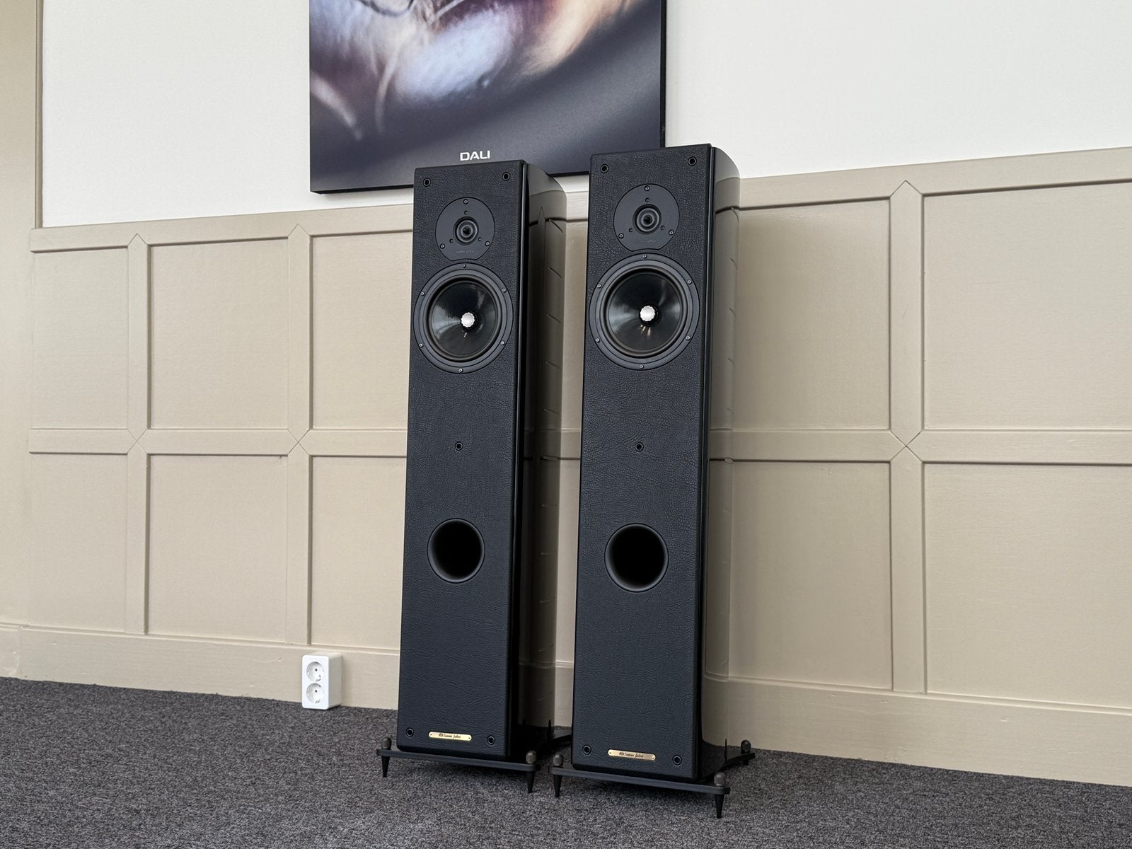 Sonus Faber Concerto Domus, Speakerset, Ophalen of Verzenden, Zo goed als nieuw, /