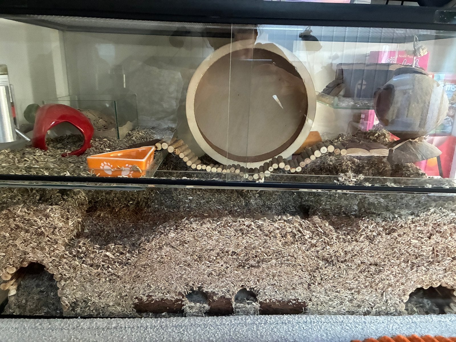 Gerbil, 110 cm of meer, Zo goed als nieuw, Hok, Ophalen
