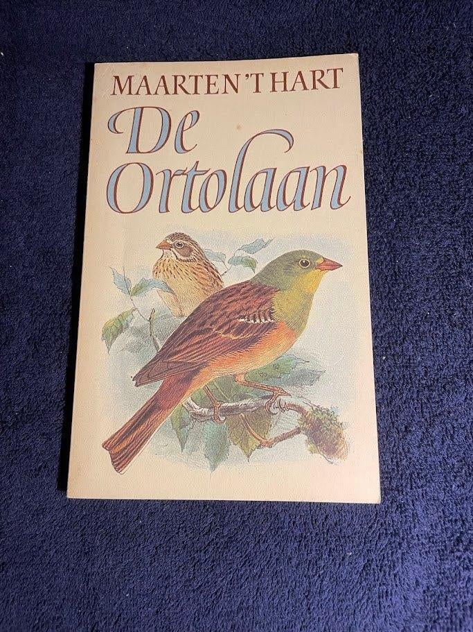 Boekenweekgeschenk 1984: De Ortolaan – Maarten ’t Hart., Ophalen of Verzenden, Gelezen, Maarten ’t Hart.